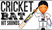 10 Cricket Bat Hit Sound Effects / Best Cricket Hits / Sports Batter Hitting Ball / Royalty Free