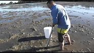 how to pump salt water yabbies