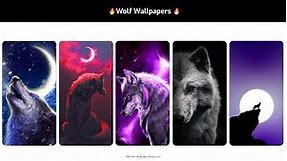 Wolf Wallpapers | Top 15 4k Wolf Wallpaper For Your Smartphone