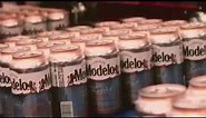Modelo named #1 selling beer in America