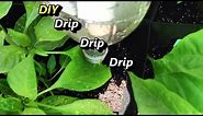 Simple Gravity Drip Irrigation System Using Plastic Soda Bottles