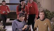 Star Trek - Attack of the Parasites