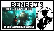 Why Are There Many Benefits To Being A Marine Biologist?