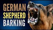 20 Minutes Of Non Stop German Shepherd Barking. Aggressive German Shepherd Dog Bark Compilation