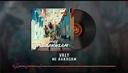 Valy - Mi Rakhsam OFFICIAL TRACK | ولی - می رقصم