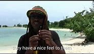 Djarum black clove cigarettes review from jamaica