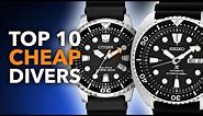 Best AFFORDABLE Dive Watches in 2023 | Seiko, Citizen, Tissot & More