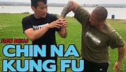 CHIN NA Kung Fu - Flow Drills - Locks Escapes & Counter Techniques