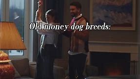 Old money dog breeds. #oldmoney #aesthetic #fyp #viralvideo #viral #lifestyle #oldmoneylifestyle #oldmoneyaesthetic #wealth