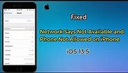 iPhone Network Not Available and says Phone Not Allowed in iOS 15 [Fixed]