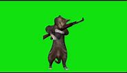 cat shooting gun meme green screen video