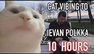 Cat Vibing To Ievan Polkka 10 Hours