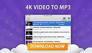 4K Video to MP3 | Free Video to MP3 Converter