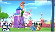 Walking the Bob | Music Video | Puppy Dog Pals | Disney Junior