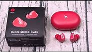 Beats Studio Buds - “Real Review”