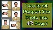 How to Set Passport Size Photo into 4R Page?