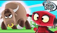 Learn Animals | Rob Discovers A Bull | Preschool Learning Videos | Rob The Robot