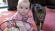 Amazing Cat protecting babies