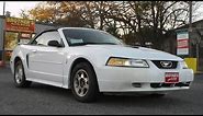 2000 Ford Mustang V6 Convertible Review