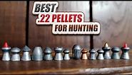 TOP 9 Best .22 Pellets for Hunting - Madman Review