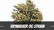 Skywalker OG Cannabis Strain Information and Review
