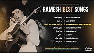 Ramesh BEST Songs Mix 🤎 آهنگهای به یاد ماندنی رامش