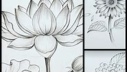 Let's sketch easy. Drawing tutorial of Flowers. Lotus drawing. Sunflower drawing. Hydrangea flower drawing