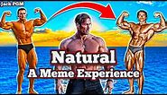 Natural - A Meme Experience