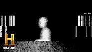 4 HORRIFYING STRANGE CREATURES *CAUGHT ON CAMERA* | The Proof Is Out There