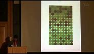 Color in Context: Revisiting Albers, with Anoka Faruqee