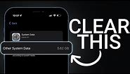 How To Properly Clear Other System Data on iPhone