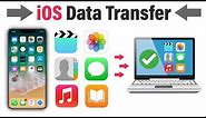 Transfer Files From iPhone To PC | iOS Data Transfer to Windows PC or Mac (2023)