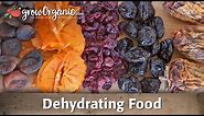 How to Dehydrate and Preserve Organic Fruit