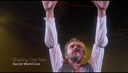 Peter Gabriel - Shaking The Tree (Secret World Live HD)