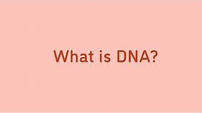 What is DNA? | Animation | Minute to Understanding