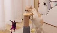 Marchul Cat Toy Roller 2-Level Turntable, Wooden Cat Track Toy with Scratching Post, Interactive Kitten Fun Track Toy for Indoor Cats
