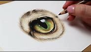 How to draw a realistic cat eye in coloured pencil | Step by step tutorial