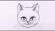 How to Draw a Cat Face in Pencil - Drawing Lesson - MAT