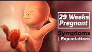29 Weeks Pregnant Baby Development | Care Tips For Pregnant Lady