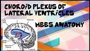 Choroid Plexus Of Lateral Ventricles Of Brain (Cerebrum).. PART 2/ MBBS ANATOMY