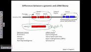 Difference between genomic DNA library and cDNA library
