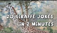 20 Giraffe Jokes in 2 Minutes