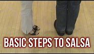 Learn to Dance Salsa : Basic Steps for Beginners
