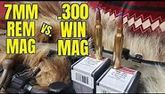 7mm Rem Mag vs .300 Win Mag Barnes LRX Chronograph