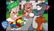 Tom & Jerry | Best of Tyke | Classic Cartoon Compilation | @WB Kids