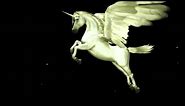 Flying Unicorn Animated Logo