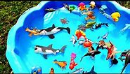 Box Of Toys Learn Sea Animal Names With Shark Ocean Creature | Beach Toys For Children