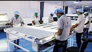 Solar Panel Manufacturing Process - Bluebird Solar