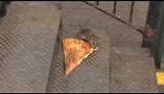 Comedian Describes Moment He Saw Rat Carrying Pizza