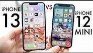 iPhone 13 Vs iPhone 12 Mini! (Comparison) (Review)
